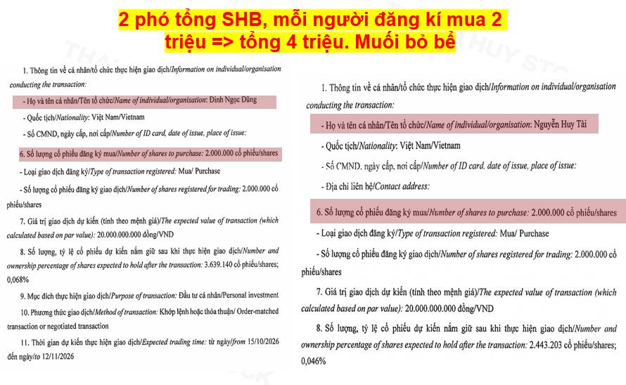 SHB sau những phiên biến động mạnh: Định giá thấp có đủ tạo nên cơ hội?