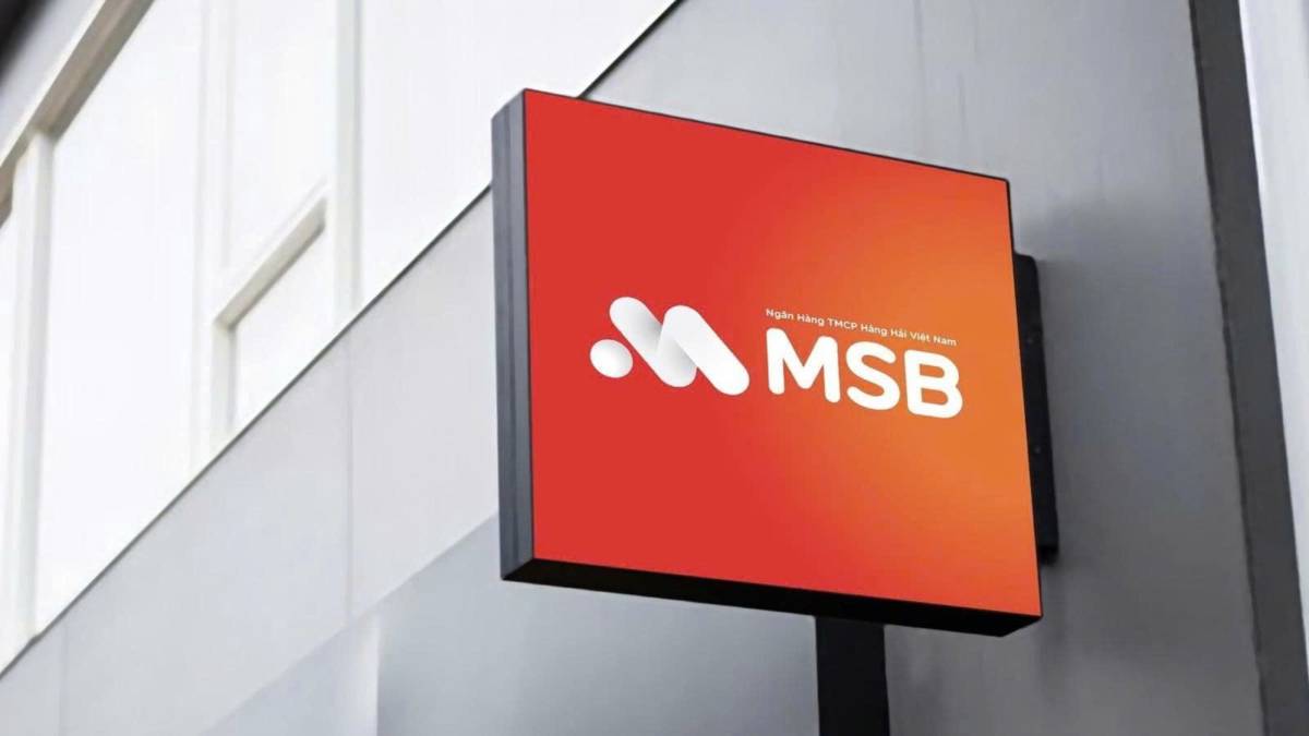 MSB - Chốt phương án tăng vốn và chủ trương mua công ty chứng khoán. + 6.500 tỷ phân bổ cho hoạt động  ...