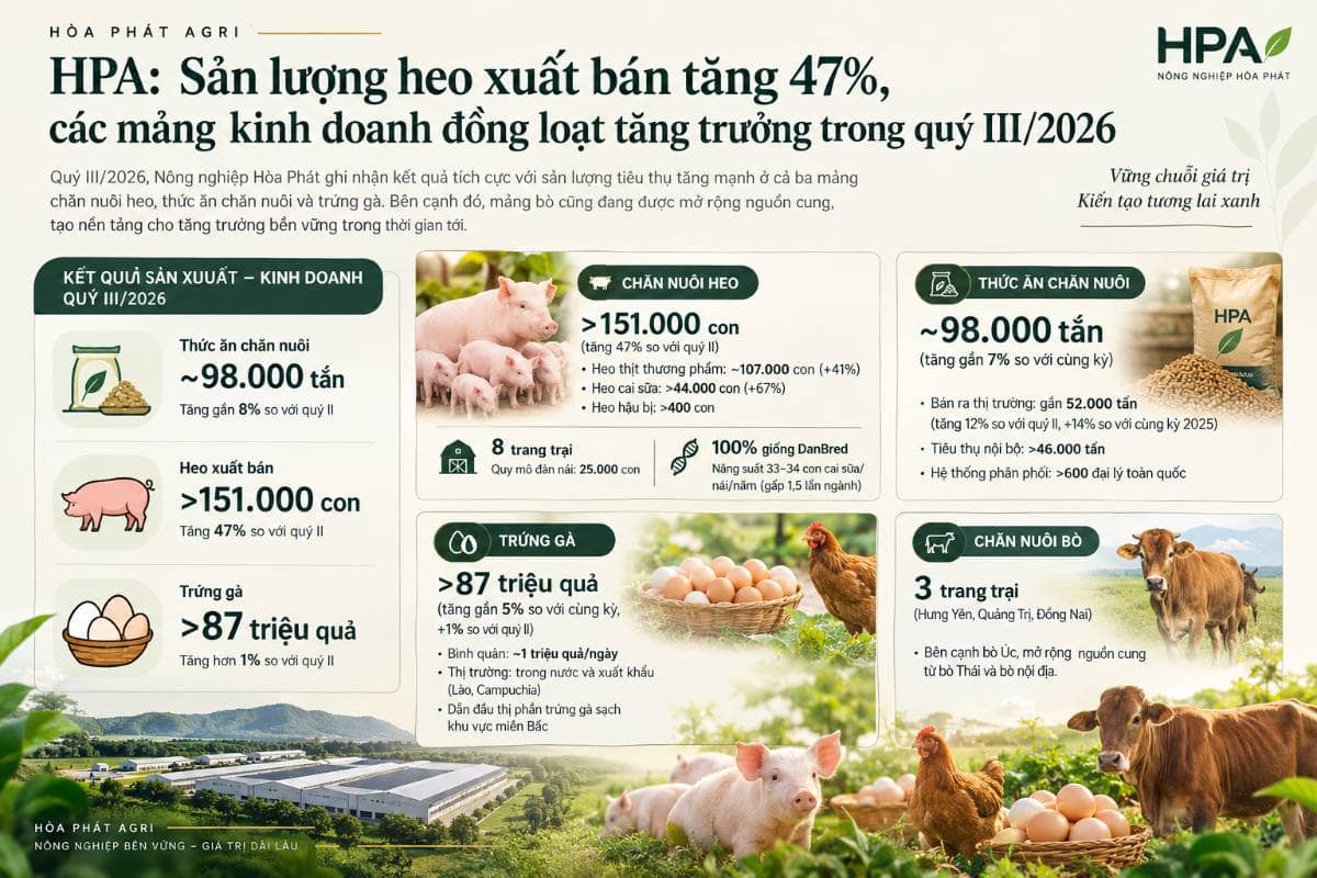 HPA: Sản lượng heo xuất bán tăng 47%, các mảng kinh doanh đồng loạt tăng trưởng trong quý III/2026.  ...