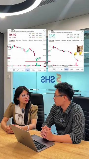 NVL và PNJ: Cùng phát hành, vì sao giá cổ phiếu lại trái ngược?