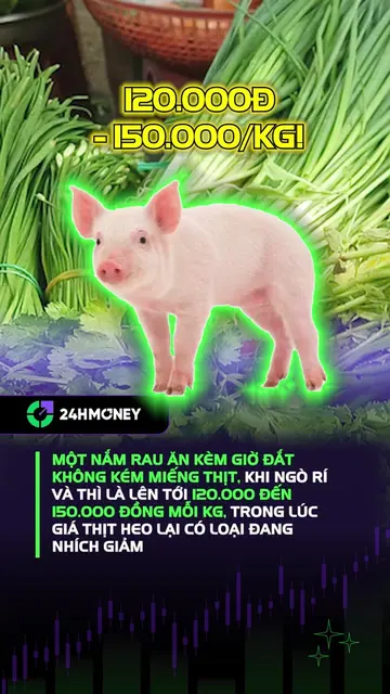 Với mức 120.000-150.000 đồng một kg, ngò và thì là đã ngang giá nhiều loại thịt