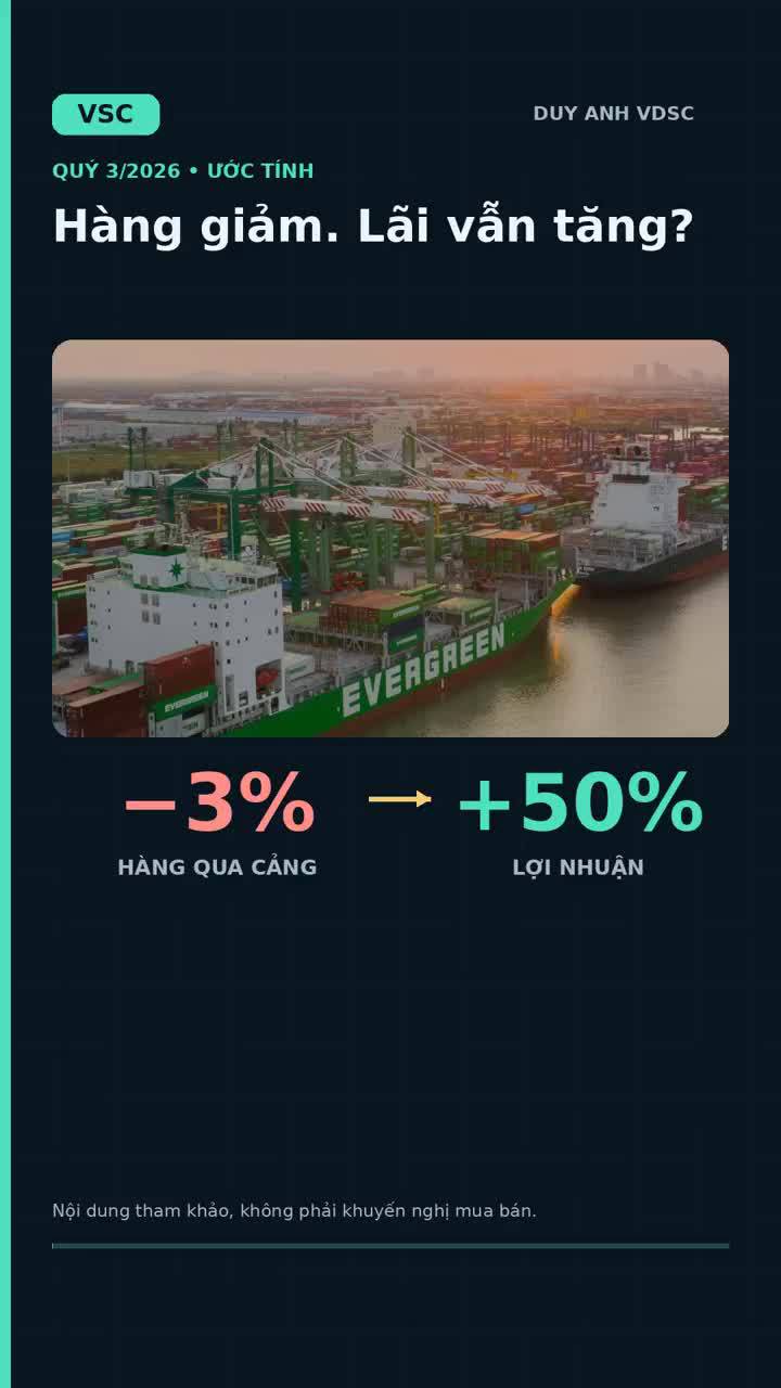 VSC - Hàng qua cảng giảm, lợi nhuận vẫn tăng!